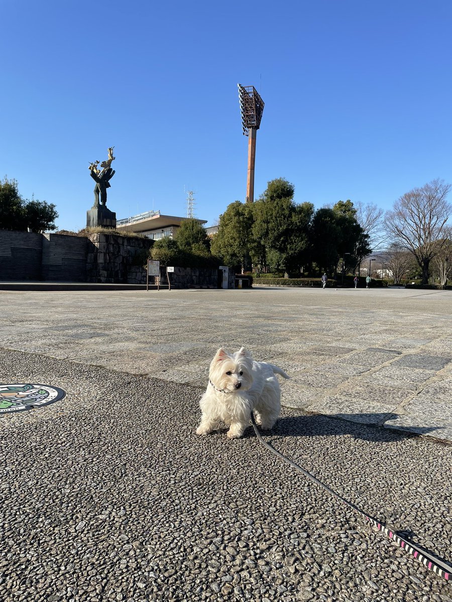 nasuke03's tweet image. いい天気
今日も一日ご安全に😊