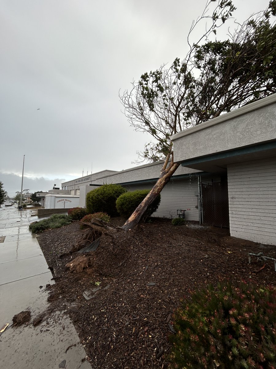 Here is the official storm survey findings of the two tornadoes in #SanLuisObispo county on Feb 7th:

weather.gov/wrh/TextProduc…

2 EF1 tornadoes, first ones since Feb 2, 2004. Also, the strongest tornadoes in the county since 1950. #CAwx