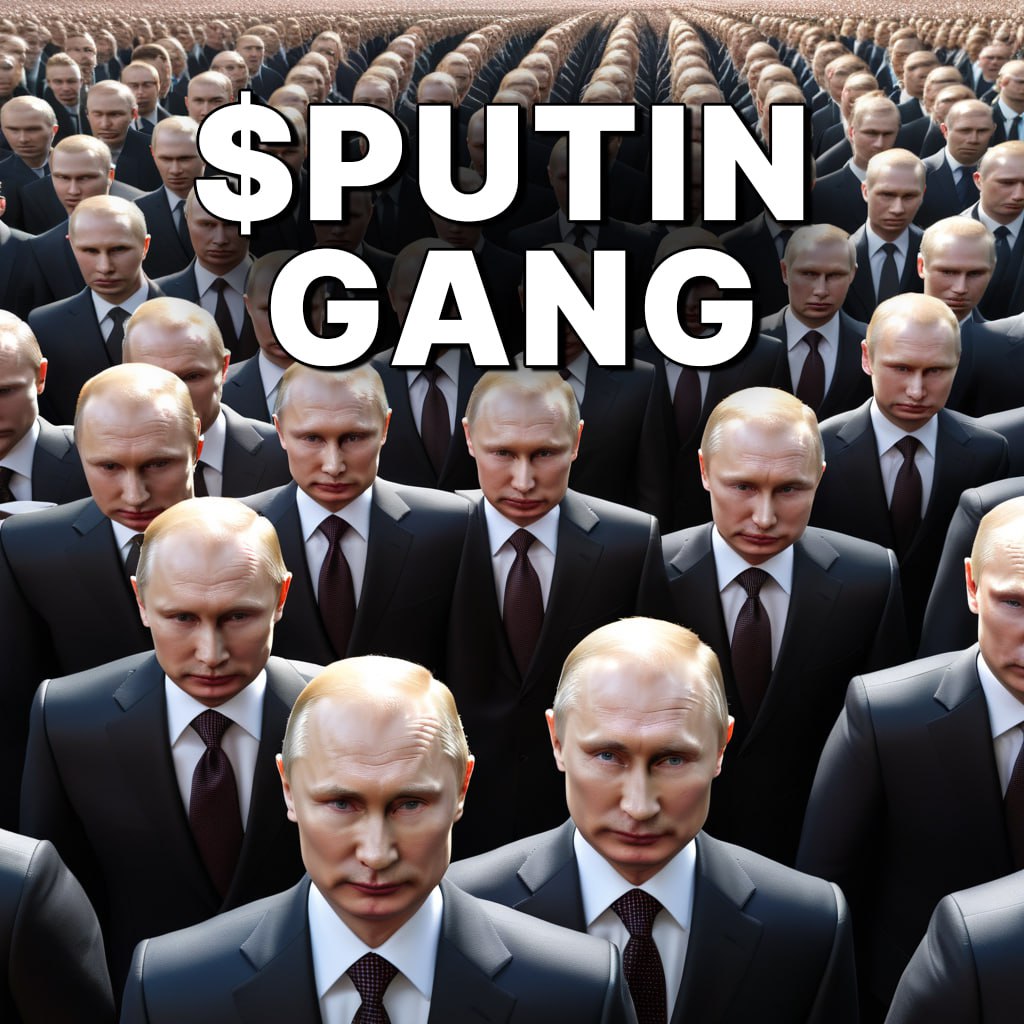 Vladimir Putin tweet media