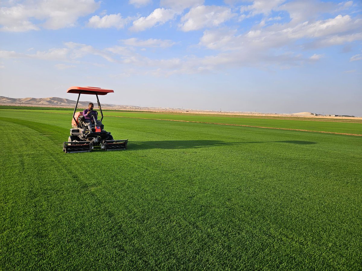 SISPitchesME's tweet photo. Improve your stadiums with SIS Pitches, the leading turf specialist in the Middle East! Experience the ultimate playing surface with our top-notch, high-quality sod, specially created for football pitches. #SISPitchesME #TurfExperts https://t.co/ulhqZjvPVB