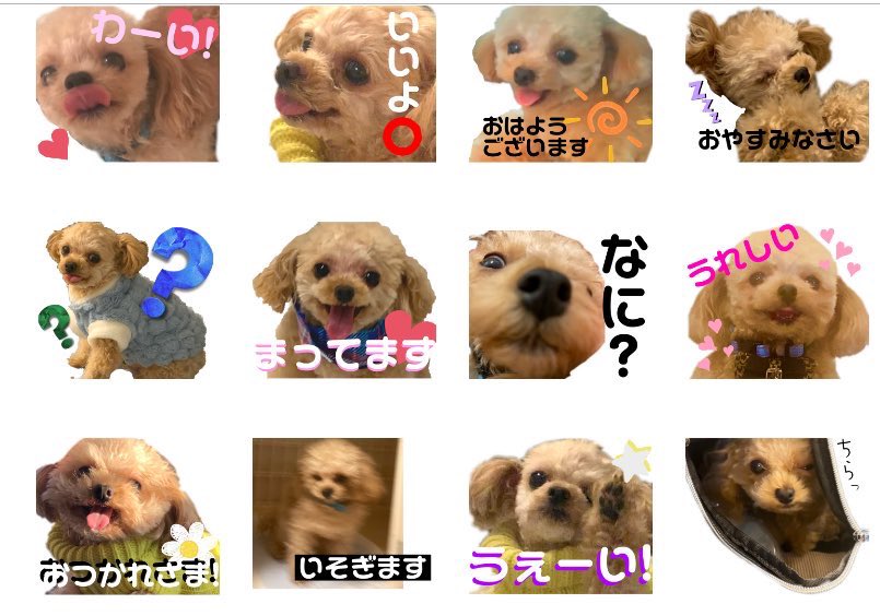 自作してるもこスタンプ、改めてすごいと思う https://t.co/3ORt7wpXTt