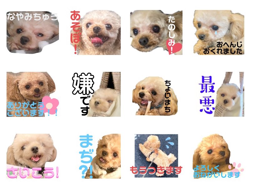 自作してるもこスタンプ、改めてすごいと思う https://t.co/3ORt7wpXTt