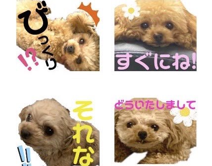自作してるもこスタンプ、改めてすごいと思う https://t.co/3ORt7wpXTt
