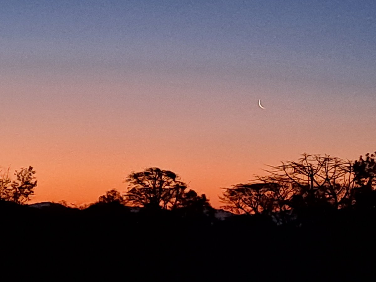 nsharmajagran's tweet photo. आने को है पैग़ाम ए सहर देख रहा था!!
#phito
#Dawn
#सूर्यकास्वागत https://t.co/FjeHefScCj