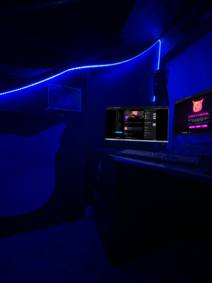 PUSSYFinancial's tweet photo. GN Web3! 💤

Loving the community here on X we are building! 🚀 https://t.co/8BMkztgWYb