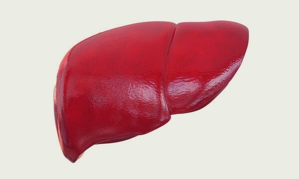 JayAAnnan's tweet photo. These are the foods to protect you from “Liver Failure/Diseases”.

Healthy Liver foods

Check below 👇🏾 https://t.co/vxK1gImTkH
