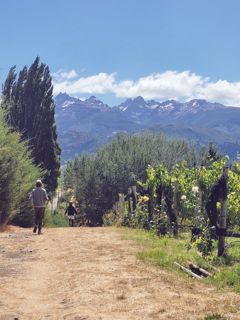 Conocer procesos productivos donde sea que uno va de vacaciones, siempre en la búsqueda de buenas historias. 🍇
