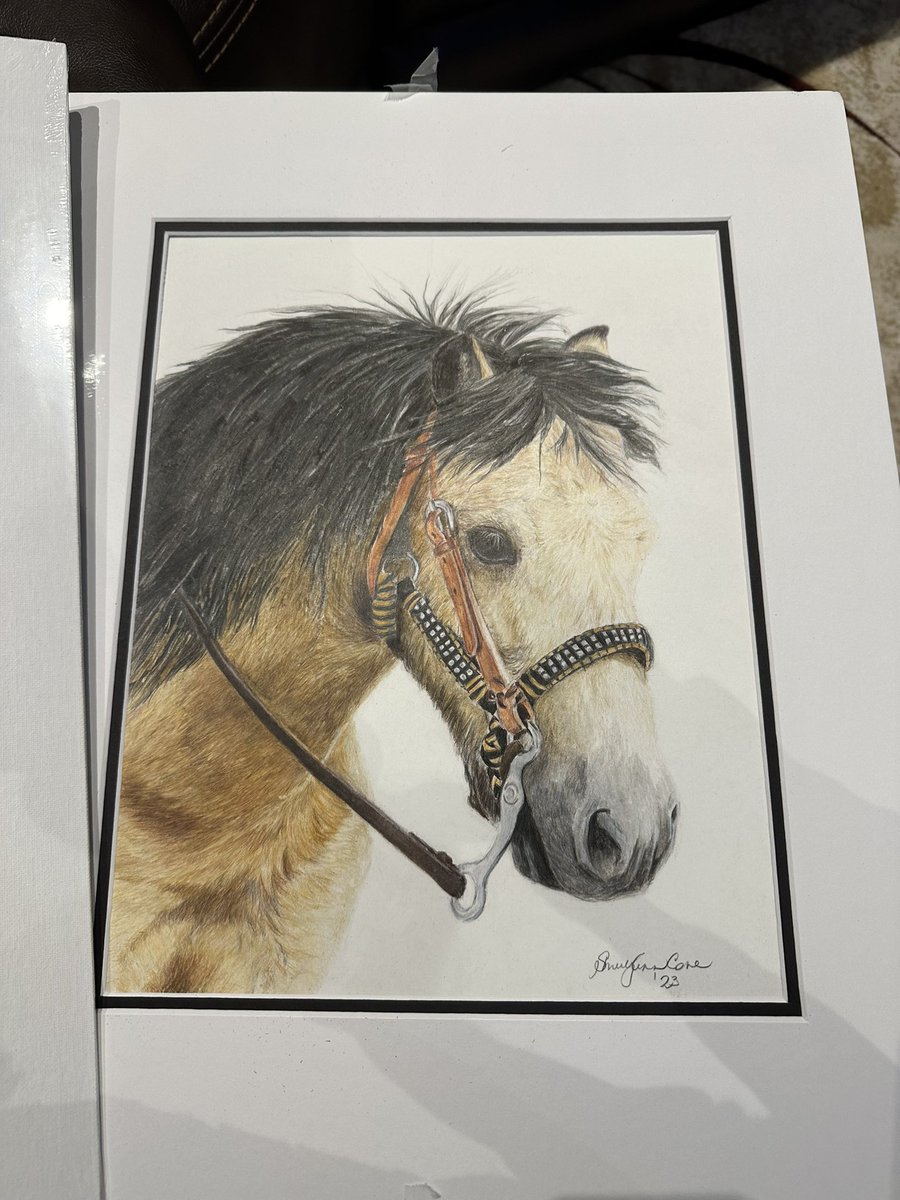 ashleyn_jr's tweet photo. Get to add another piece of artwork to the house done by the amazing Shirley Ann Cone - we now have a beautiful piece of our mini Mike!
So much detail and so beautiful!
#canadianartists #pencildrawing #minihorse #artwork #beautiful #perfectpony https://t.co/5QcALnia84