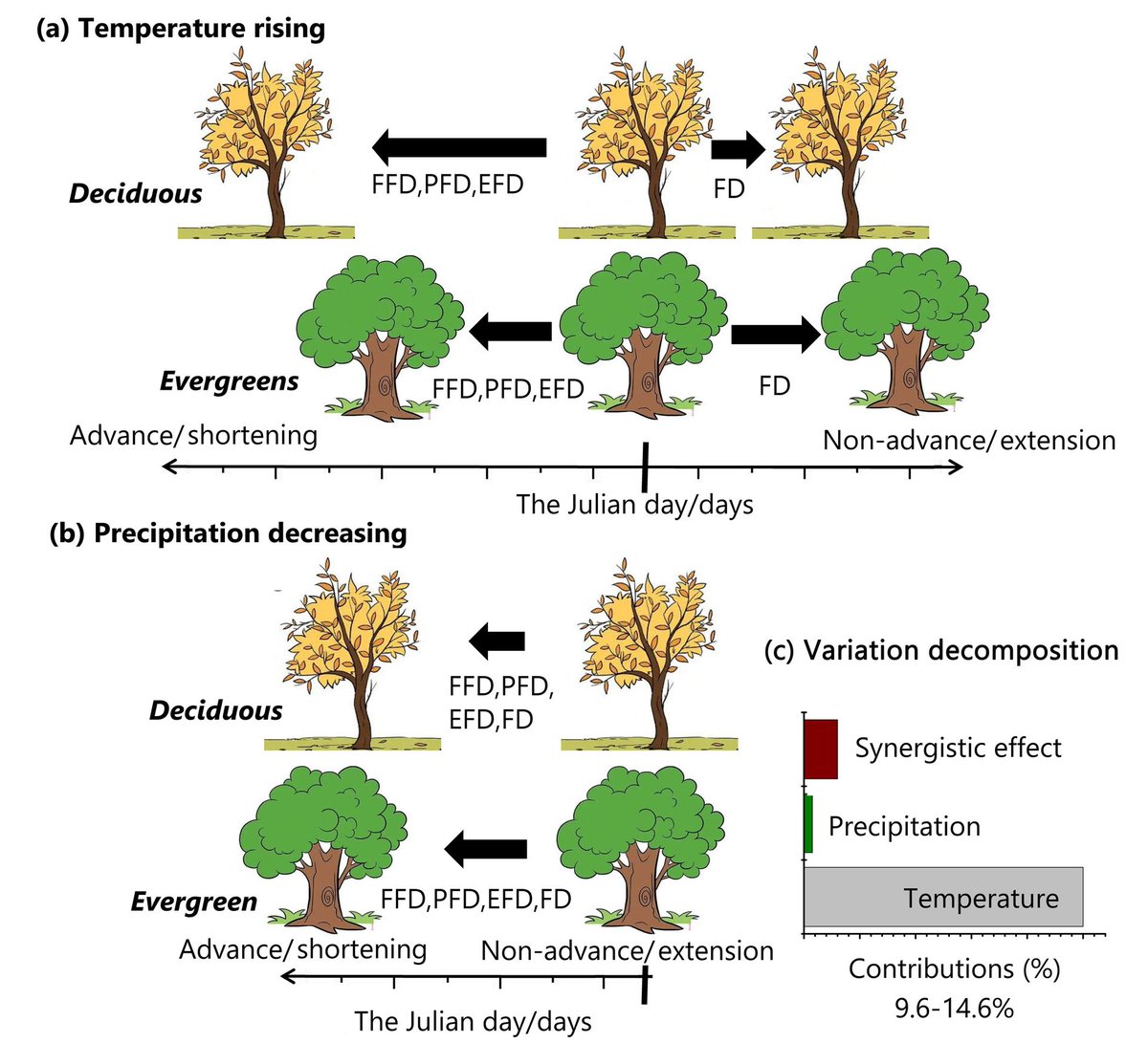 GlobalChangeBio's tweet photo. || NEW RESEARCH ||
China's subtropical deciduous plants are more sensitive to climate change than evergreen plants by flowering phenology

📄 https://t.co/ksVEeaxDxD https://t.co/LNALwwFjLW