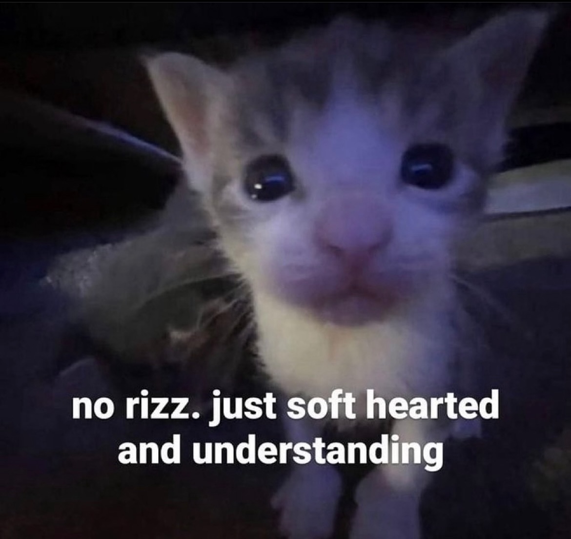 PunchingCat's tweet photo. https://t.co/SBwm7ZEsEe
