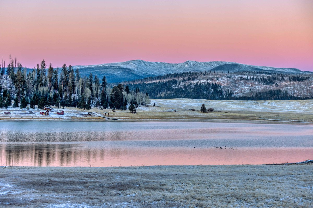 ShowLowChamber tweet media