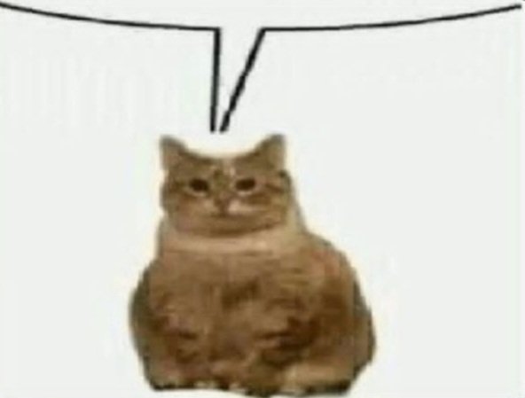 Me cagan los lunes y quiero lasaña