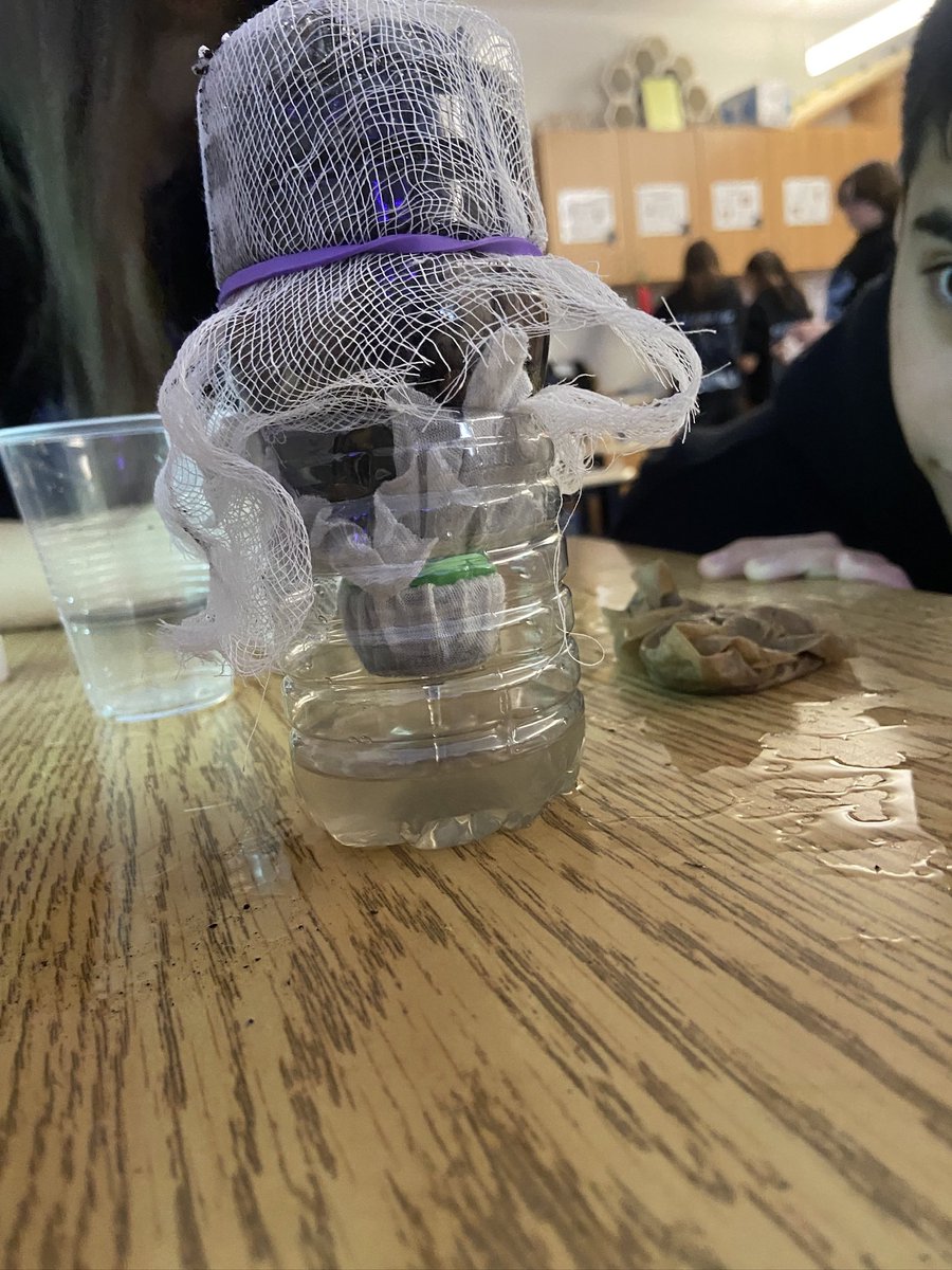 Mlle McCallen tweet media