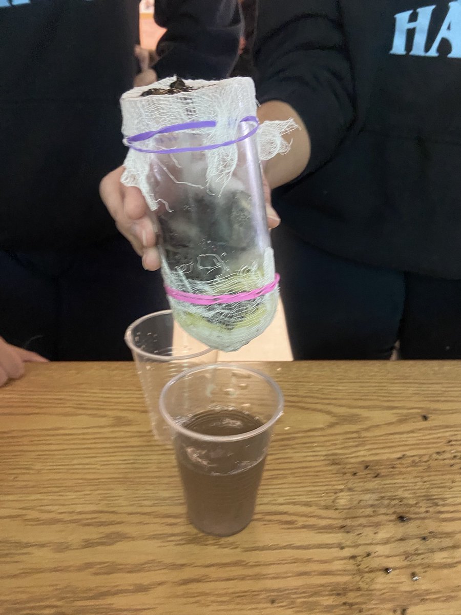 Mlle McCallen tweet media