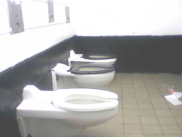WilderBrounson's tweet image. Exposed Toilets of NYC: Bold Sitters - Washington Square Park Men's Room #wattpad wattpad.com/1419604172-exp… 
#Wilder368 #Wilderbrounson #NYC #publictoilet