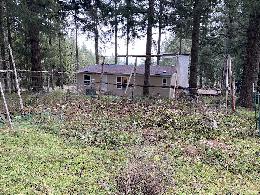 thewyldmen's tweet photo. Himalayan Blackberry thorns are no joke. But we smote their ruin upon the mountain! #bedprep #gardening #farming https://t.co/TEkbV2j4No