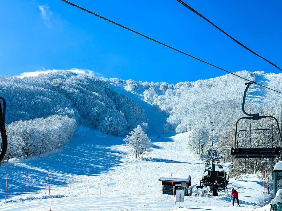 Gorgeous day here!

Reports: madaraosnowreport.com
Webcams: madarao.webcam
Info: madaraokogen.com/ski/
#Madarao #Madaraoski #Madaraoweather #Madaraowebcam #Madaraosnowreport #Madaraokogen #斑尾高原 #斑尾 #斑尾高原スキー場 #tangramskicircus #タングラム斑尾東急リゾート