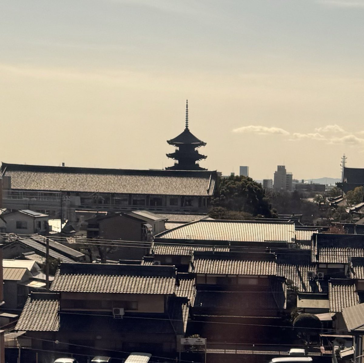 サンディ (Soundwish) tweet media