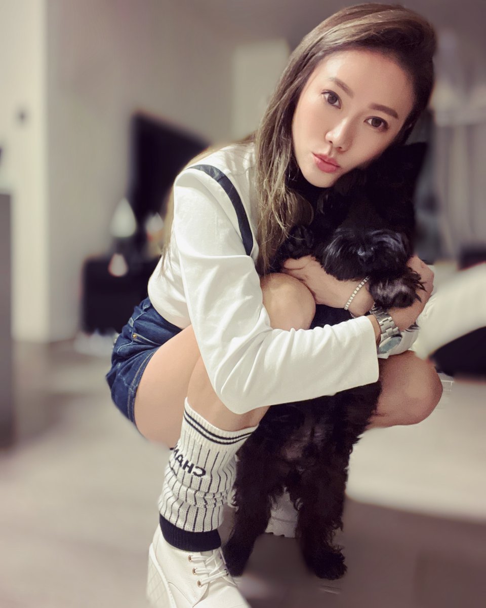 Bonnie_Chu's tweet photo. Can u see me? 📷

#jetjet #blackdog #bonniechu #goodboy https://t.co/v5cuFTwjH4