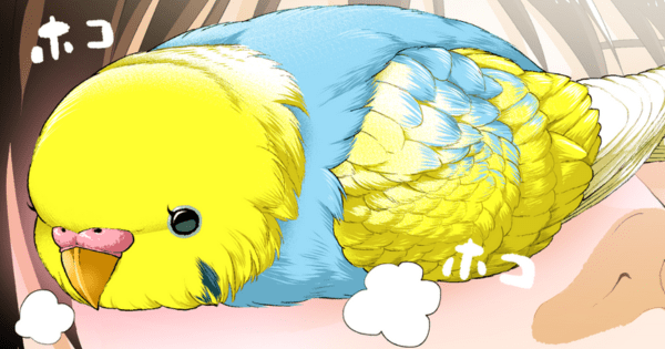ほかほかのアイマスクにもなっちゃう #インコ 先輩。可愛い先輩の姿に癒されてください!初丸うげべそ  さんの「いじわる先輩、インコになった!?」まとめ読みを更新しました。 #ヤメコミ #4コマ漫画 
