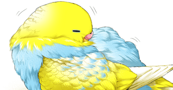 「鳥 ふわふわ」のTwitter画像/イラスト(新着)