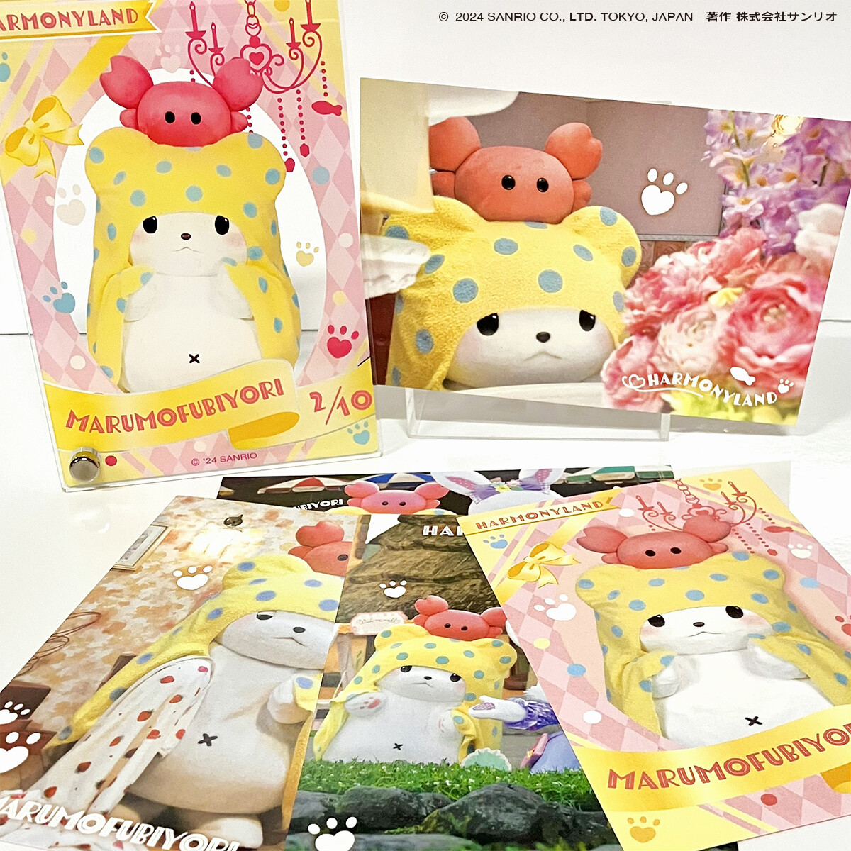 ハーモニーランド　サンリオモップバースデーシリーズ 🎂2月10日は、モップ(まるもふびより)のお誕生日🎂 モップは