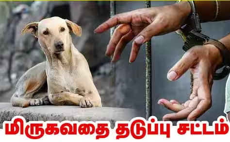 bmssm_itwing's tweet photo. 1960-ம் ஆண்டு விலங்குகள் வதை தடுப்பு சட்டப் பிரிவு 11-ன் கீழ் விலங்குகளை அடிப்பது, அதிக பாரத்தை ஏற்றுவது, கொடுமைப் படுத்துவது உள்ளிட்டவை  சட்டப்பிரிவில் குறிப்பிட்டுள்ள படி விலங்குகளை கொடுமைப் படுத்துவோருக்கு அதிகபட்சமாக ரூ.50 அபராதம் விதிக்கப்படும்.  அதிகபட்சமாக ரூ.100000 அபராதம https://t.co/vtFfEQCI2w