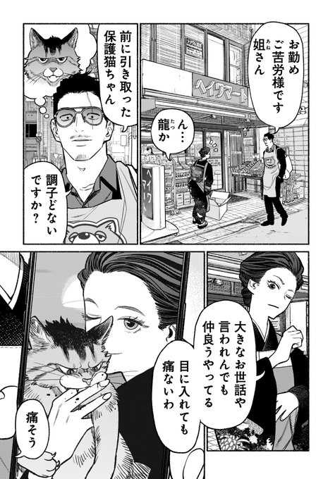 猫とこたつと極妻の話(1/4) 