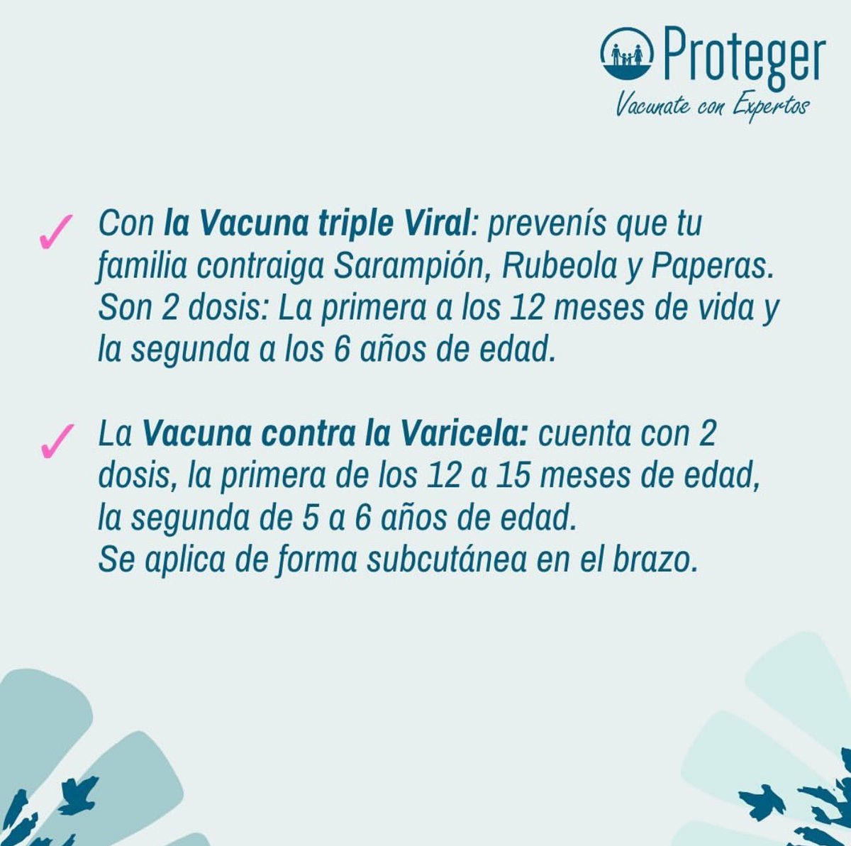 ProtegerVac's tweet photo. 👨🏻‍⚕️ El sarampión, las paperas, la rubéola y la varicela son enfermedades virales que pueden tener consecuencias graves.

Te contamos más sobre cada una de estas enfermedades y las vacunas que las previenen 🛡️

Deslizá y enterate! 👉 https://t.co/UkWjJSoWER