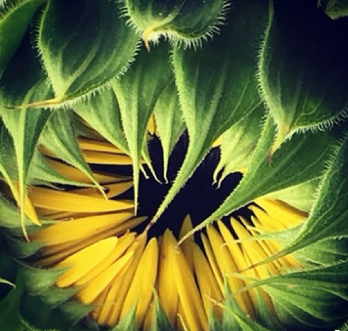 Shanneighteen's tweet photo. 7➡️#midnight➡️7
737
#Day341
#PIDAY
#BIGBANG
#thirtythreethousandEMAILS
6:11➡️11:11➡️6:11
June 11 #marker #key #sharpiegate #operationKEYHOLE
#Day26
#Day27 #RandomStop
#wise
#honey
#BEE
#BEEBEST
#special
#BAR=219
#Porter
#BEER
2559=219/714
#Qloop
3901 days apart
👋
. https://t.co/9u9EjePOPO