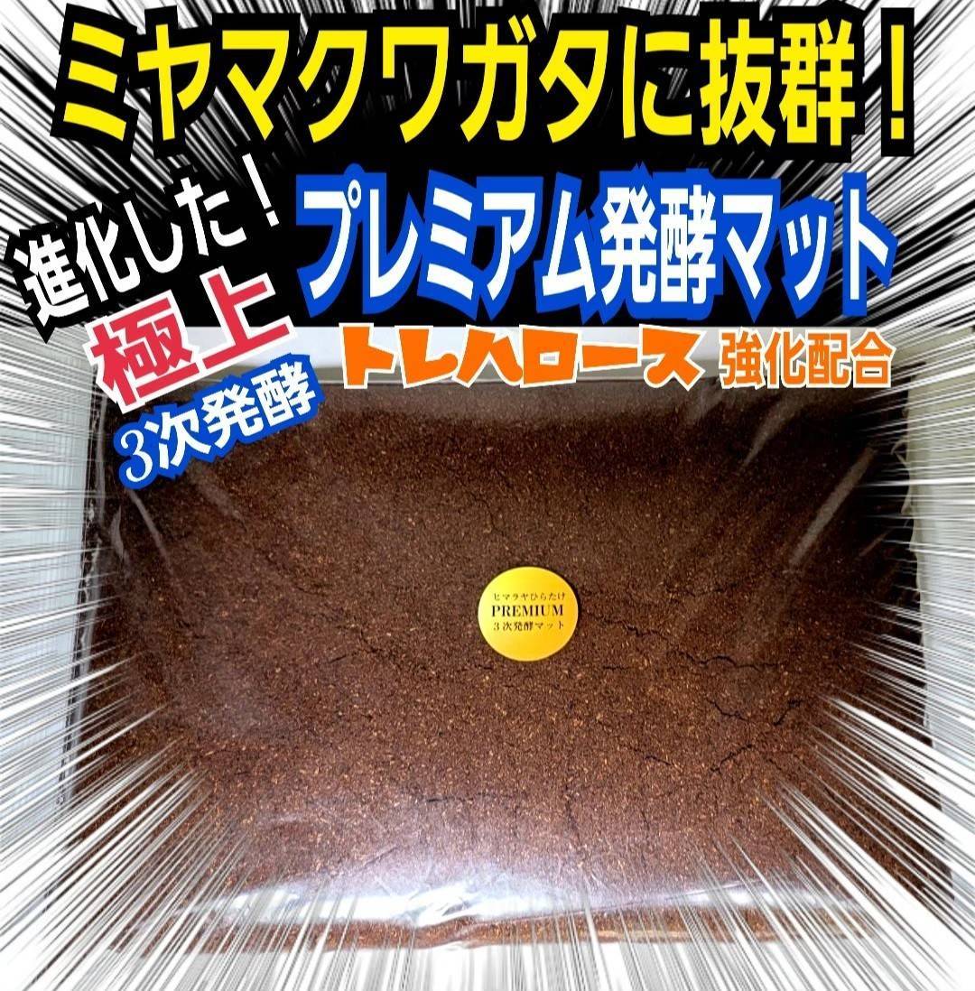極上！ヒマラヤひらたけ菌糸ブロック【7個】トレハロース強化配合
