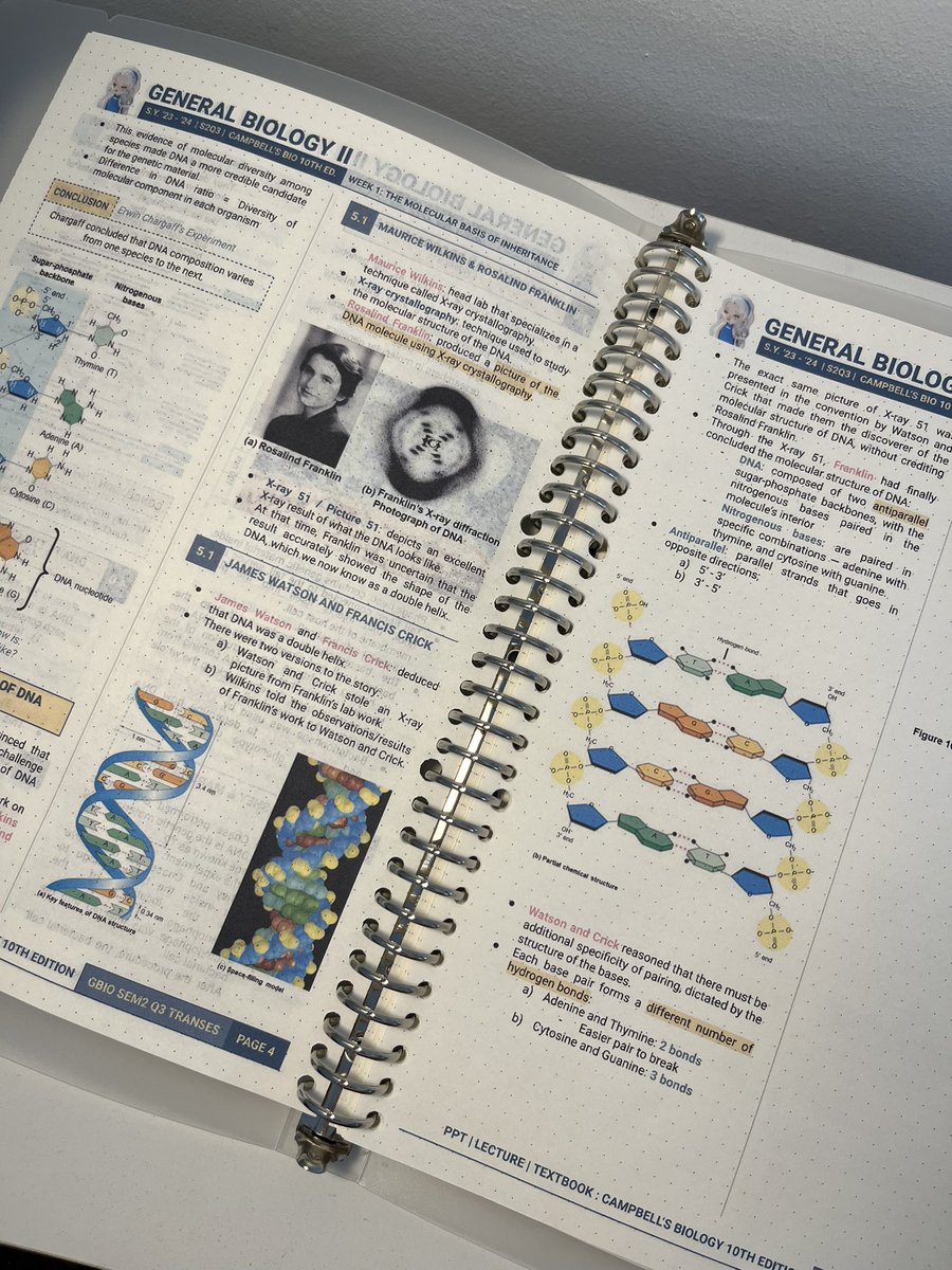 wonrika's tweet photo. printed transes 🔛🔝 https://t.co/EFumjFqiBe