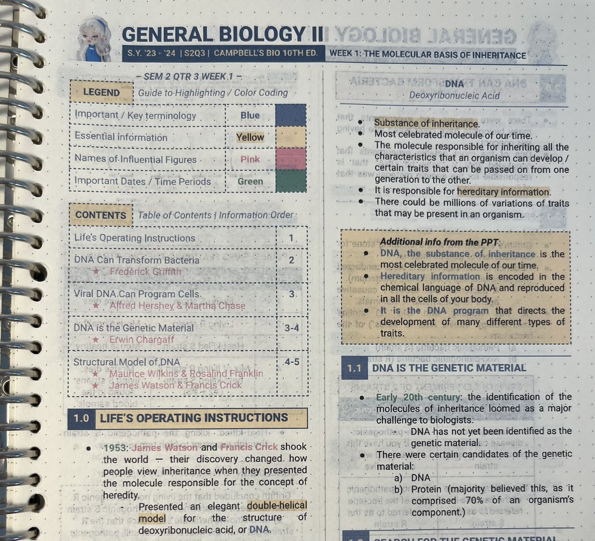wonrika's tweet photo. printed transes 🔛🔝 https://t.co/EFumjFqiBe