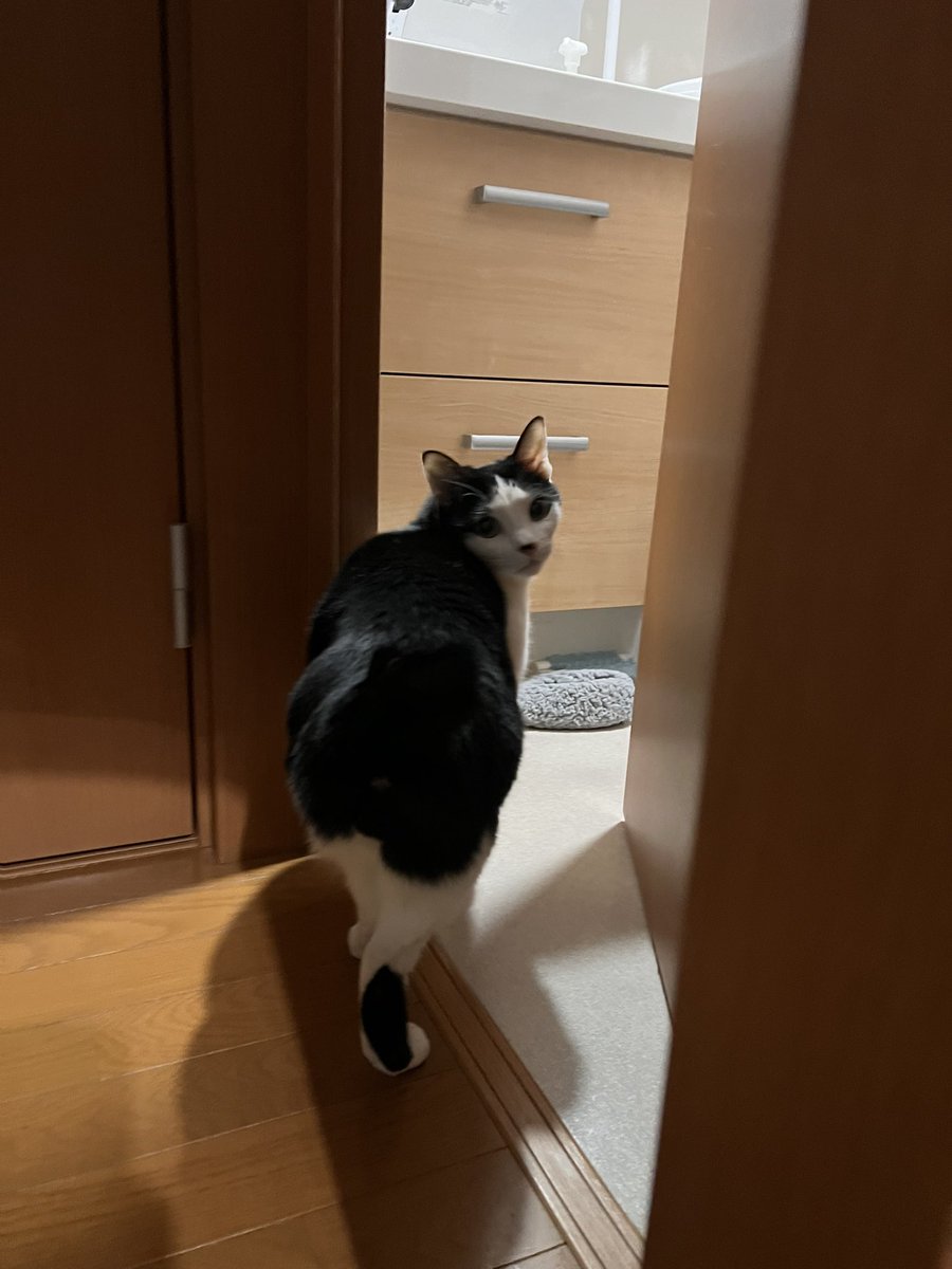 プリケツ⭐︎ Hitachi ZX210-3 4HK1 Isuzu Injectors 8-98284393-0 8-98151837