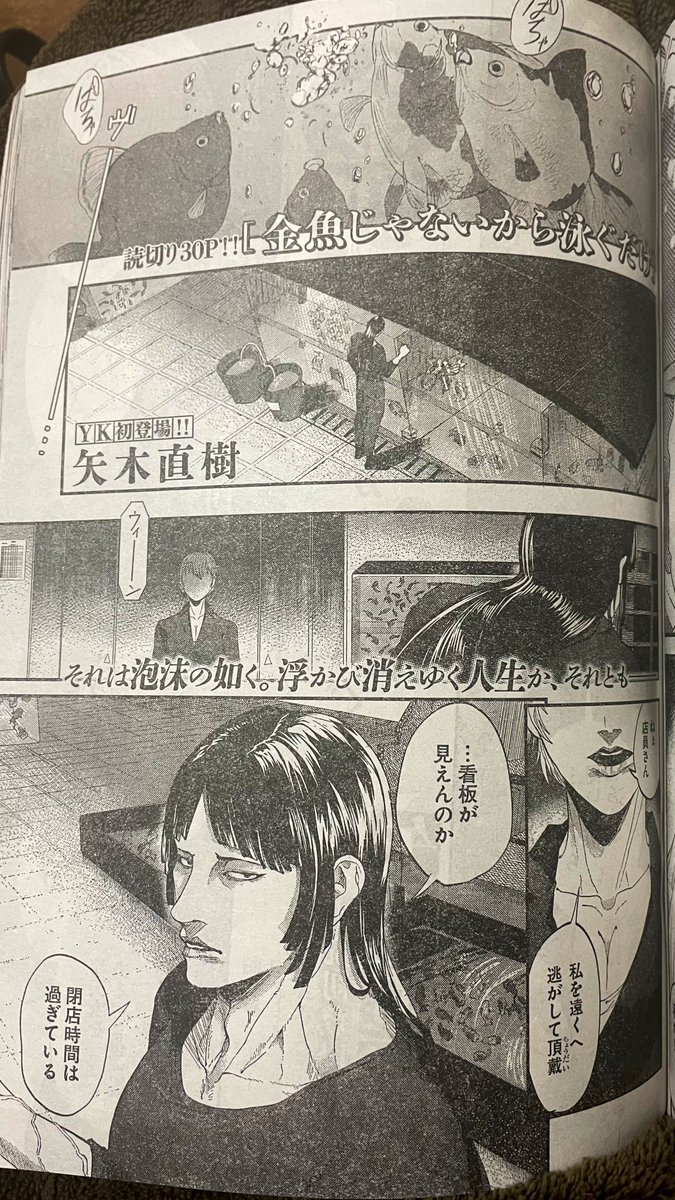 【宣伝】
本日発売のヤングキング5号にて、矢木直樹の読み切り「金魚じゃないから泳ぐだけ」が掲載されています!

あと何故か矢木直樹の初インタビュー記事も載ってます。
よろしくお願いします👊😁 