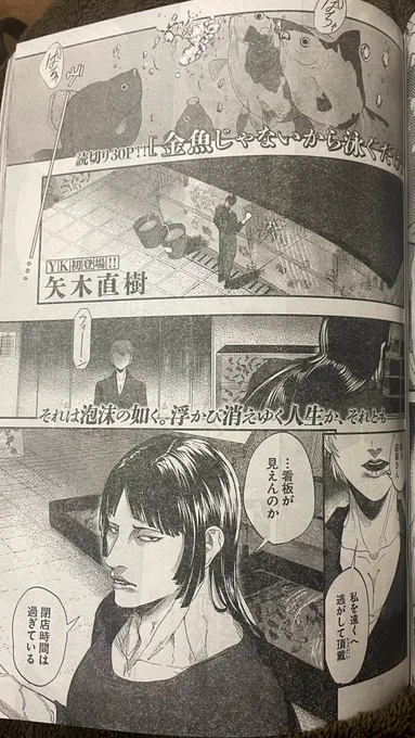 【宣伝】
本日発売のヤングキング5号にて、矢木直樹の読み切り「金魚じゃないから泳ぐだけ」が掲載されています!

あと何故か矢木直樹の初インタビュー記事も載ってます。
よろしくお願いします👊😁 