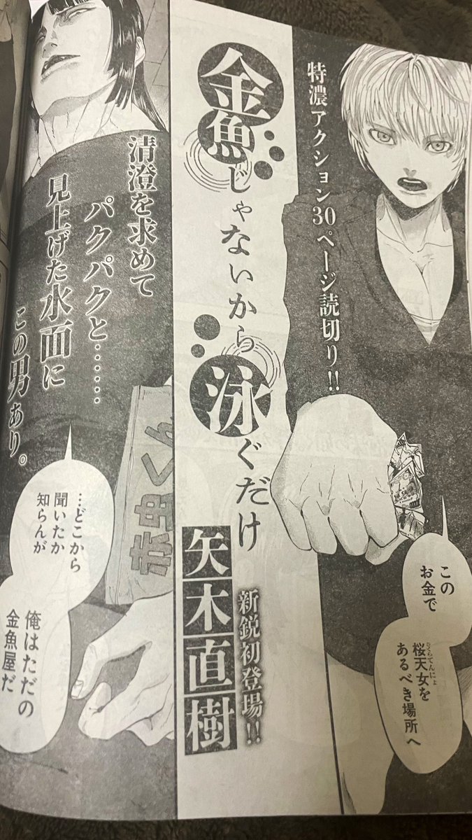 【宣伝】
本日発売のヤングキング5号にて、矢木直樹の読み切り「金魚じゃないから泳ぐだけ」が掲載されています!

あと何故か矢木直樹の初インタビュー記事も載ってます。
よろしくお願いします👊😁 