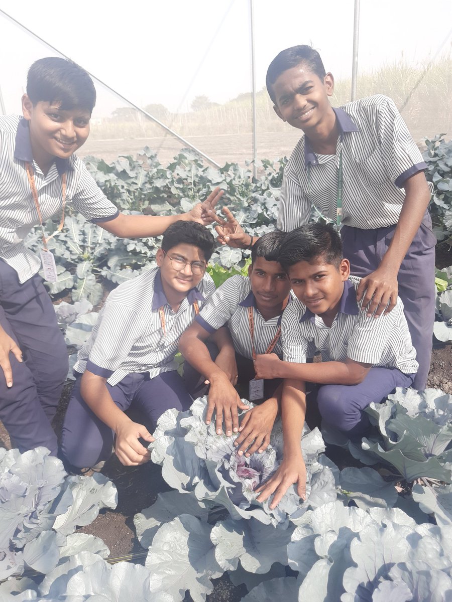 FALIAgriculture's tweet image. It gives great pleasure to plant something with effort and watch it grow😍

#RedCabbage