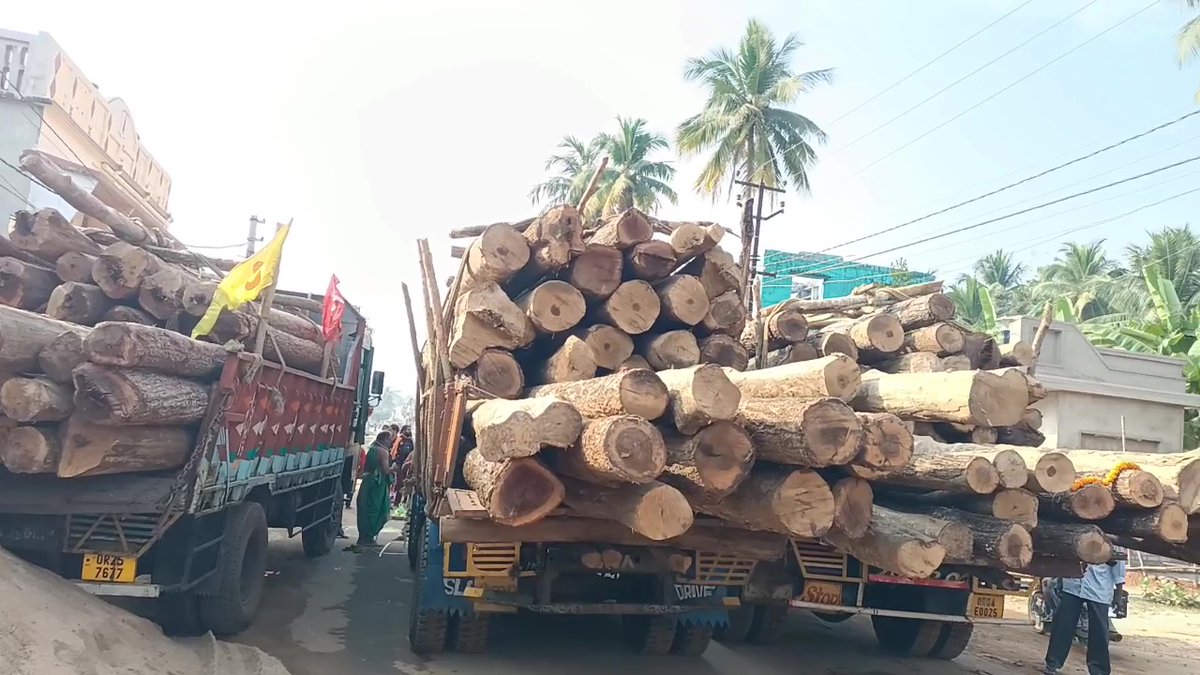 otvnews's tweet photo. Rath Yatra | First phase of logs for construction of chariots of Holy Trinity leave for #Puri from Nayagarh; a total of 102 logs being brought to Puri in three trucks #Odisha  

#RathYatra https://t.co/G424s1pu0Y