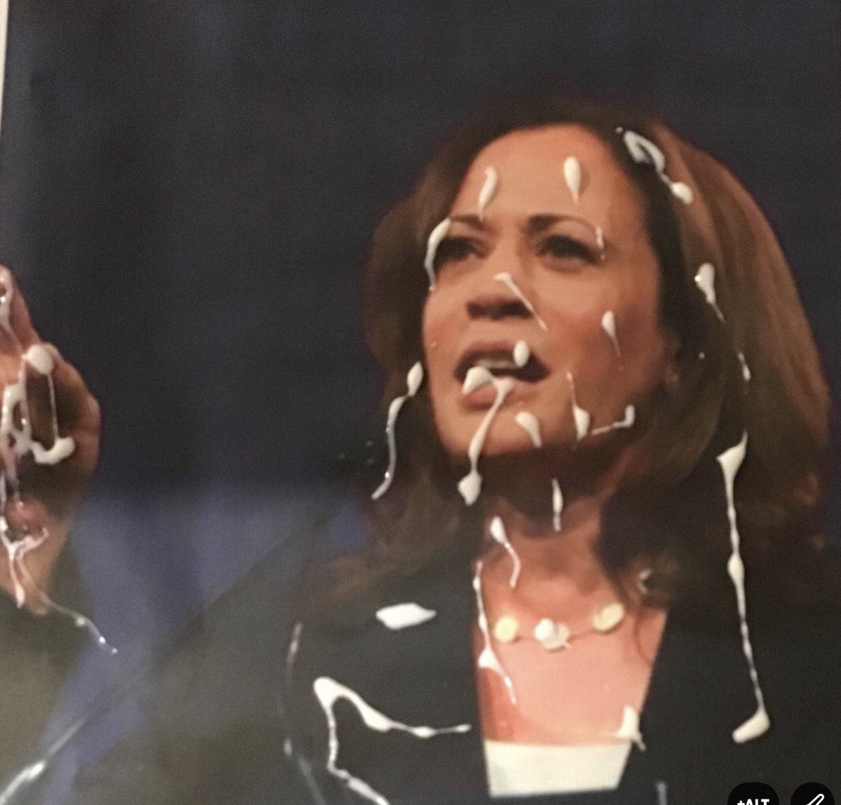 richirich1963's tweet image. What’s worse is if the #25Amendment is invoked to remove @JoeBiden we get this 😬 #KneePadsKamala