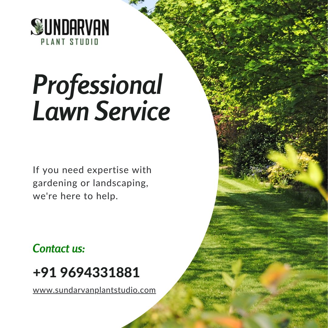 Sundarvan23's tweet photo. 📷📷 Elevate Your Outdoor Oasis with Our Premier Garden Services! 📷📷
Is your garden in need of a little tender loving care? Our team of green-thumb experts is here to turn your outdoor space into a flourishing paradise! From meticulous lawn care to stunning landscaping designs. https://t.co/tftfp1M6HI