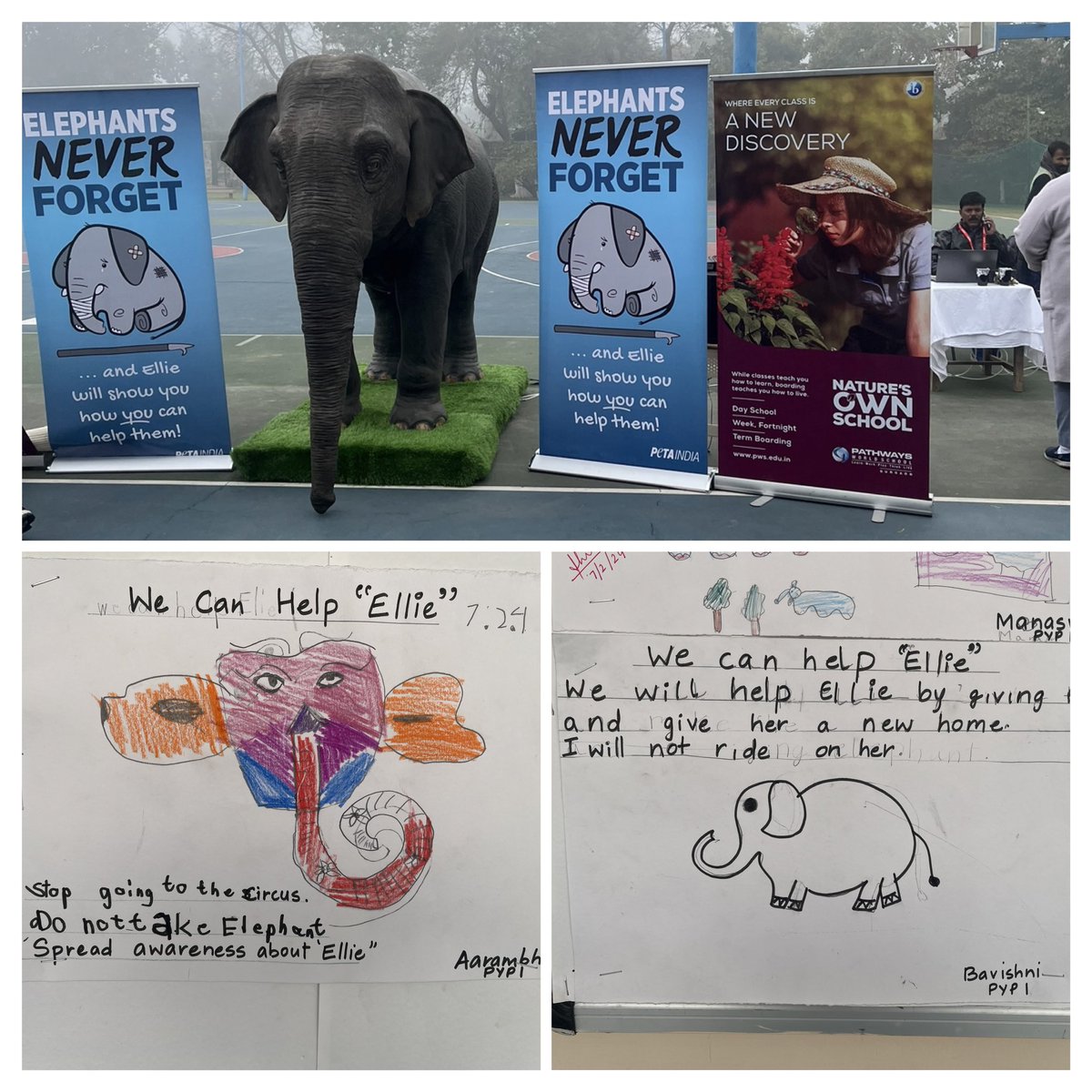 Animals are neither voiceless nor alone, as long as we speak up and take a stand. Ellie, the first animatronic elephant visited us and shed light on the plight of elephants exploited in circuses for ride and other purposes <a href="/PetaIndia/">PETA India</a>  <a href="/SDGsForChildren/">SDGs For Children</a> <a href="/MathewBhavna/">Bhavnaa Mathew| 🌏#GoalsProject #TeachSDG</a> <a href="/koentimmers/">Koen Timmers #climateactionedu</a>
