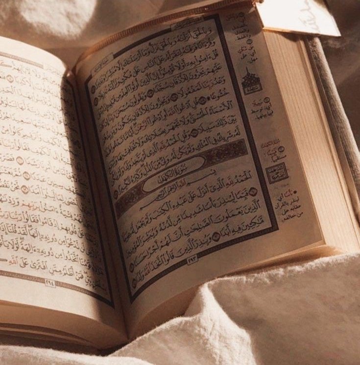 kinza8110's tweet photo. Have a beautiful Friday ❤
May Allah swt accept our Dua's and ibaadah🤲✨
Don't forget to recite Surah-al-Kahf😊
#JummahMubarak #FridayVibes https://t.co/lLTNDP0ixf