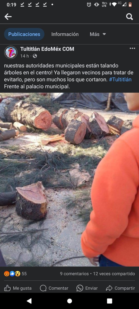 SaraRohe's tweet photo. @Edomex @delfinagomeza Cómo justifican esto, en verdad urge su intervención por favor https://t.co/TZZrCMRhN9