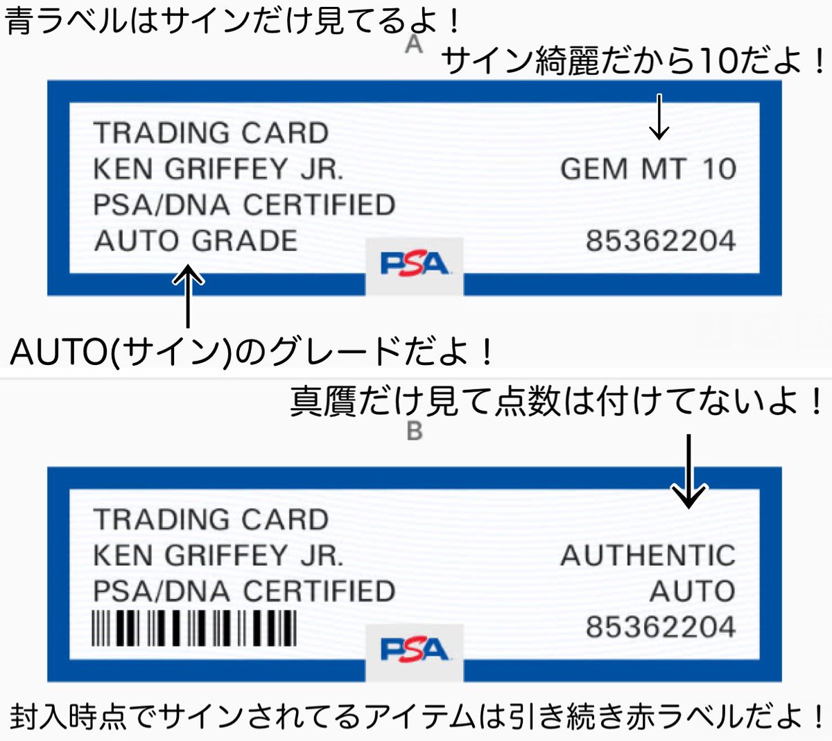 PSA鑑定が新しい『青ラベル』の採用を発表 「選手やイラストレーター等