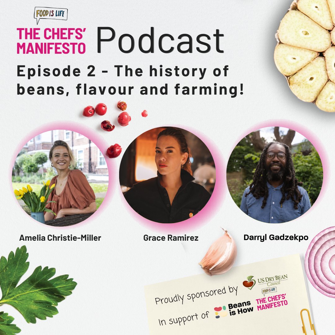 📣Beans empower smallholder #farmers🧑‍🌾and nourish people & planet. Episode 2 of the #ChefsManifesto #beans podcast🎙️is here with the history and production of beans🫘! Tune in👉bit.ly/3wdn1II #GoodFood4All @foodtank @FAO @CGIAR @drybeancouncil