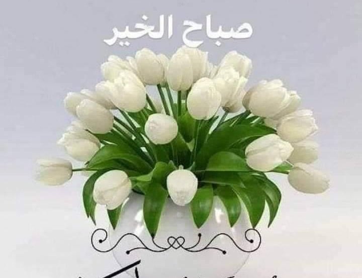 Good morning 🌅