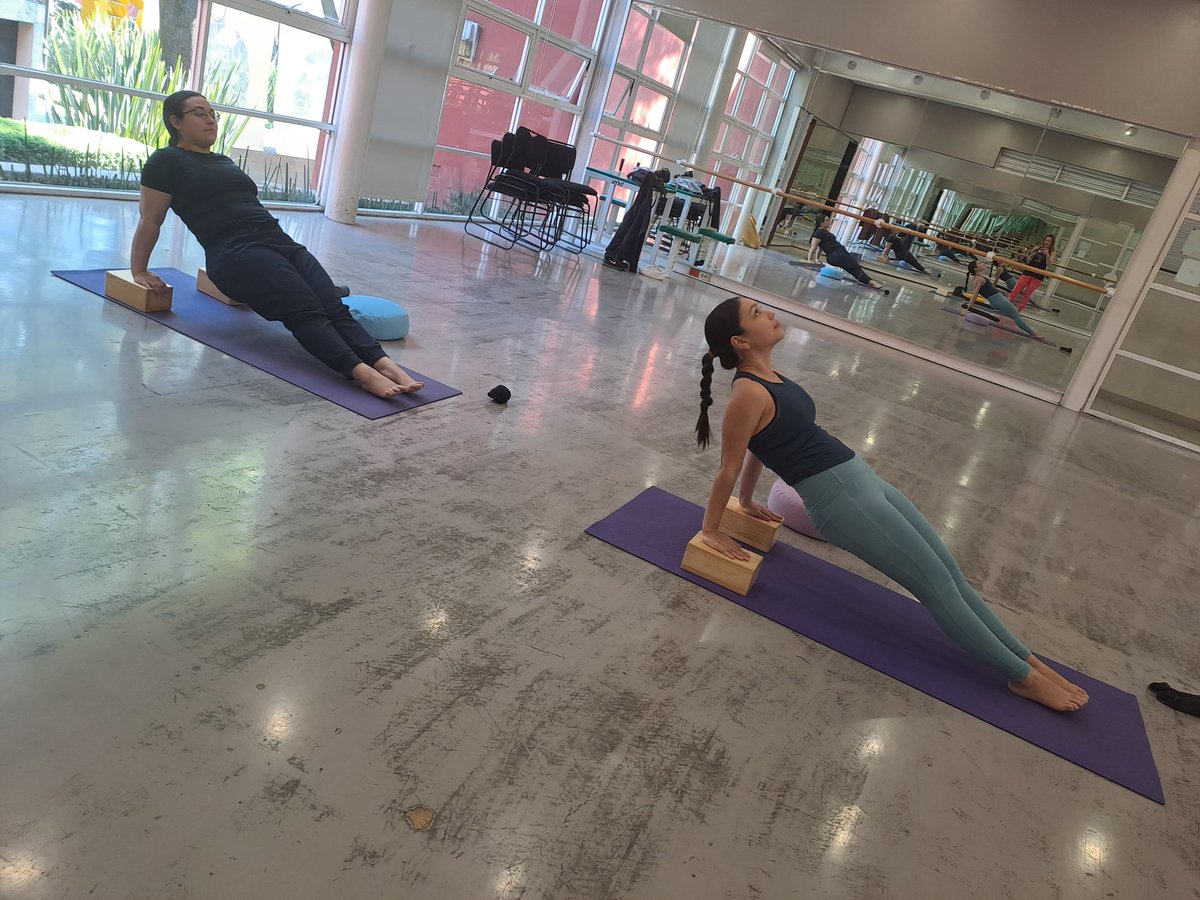 DAE_ITAM's tweet photo. #AsíSeVivió la clase de #YogaRestaurativo con bloques de madera.🙏🕉🪷
🖋dushinka@itam.mx
@YoginiFran
Cuida tu espalda, invierte tiempo en tu bienesar.
#BackMitra
@DAE_ITAM @ITAM_mx Subdirección de Bienestar Integral
#ExcelenciaHumana #DeportesITAM🐺 #AlineamientoRestaurativo https://t.co/qVuSazQOY4