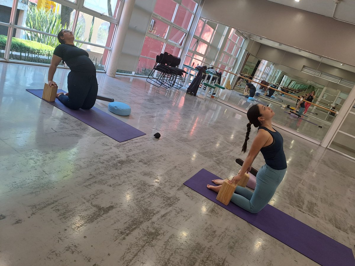DAE_ITAM's tweet photo. #AsíSeVivió la clase de #YogaRestaurativo con bloques de madera.🙏🕉🪷
🖋dushinka@itam.mx
@YoginiFran
Cuida tu espalda, invierte tiempo en tu bienesar.
#BackMitra
@DAE_ITAM @ITAM_mx Subdirección de Bienestar Integral
#ExcelenciaHumana #DeportesITAM🐺 #AlineamientoRestaurativo https://t.co/qVuSazQOY4