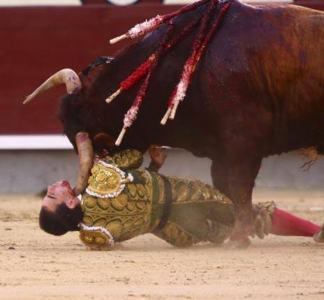 BlZagith's tweet photo. @Armando73900163 @marin13122 @DavidFaitelson_ Espero tampoco estés de chillón cuando muera un familiar tuyo Bro...

Oleeeee torero, la cabeza de premio para el Toro! https://t.co/tefaTDLOkl